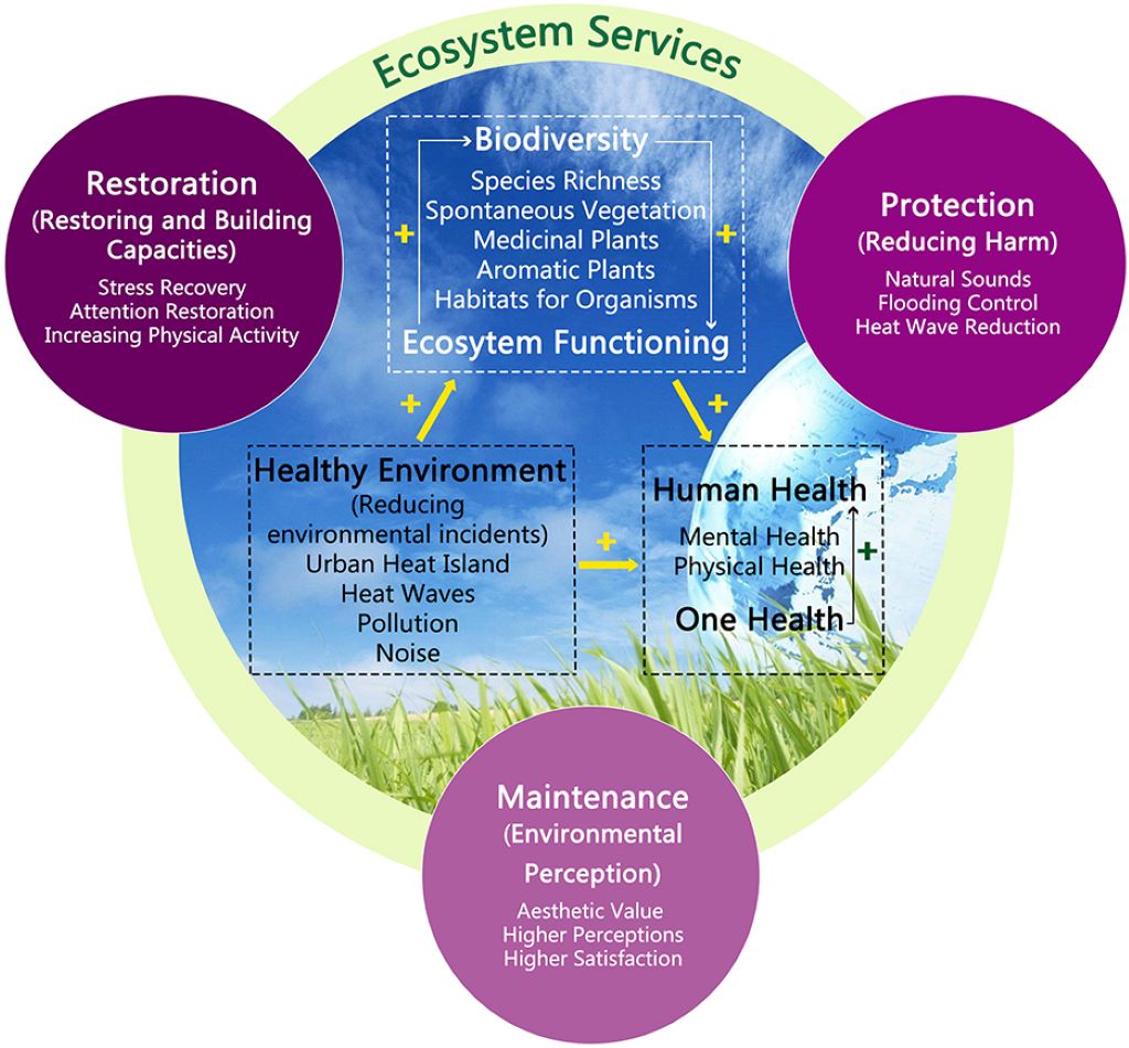 Ecosystem Services and Human Benefits