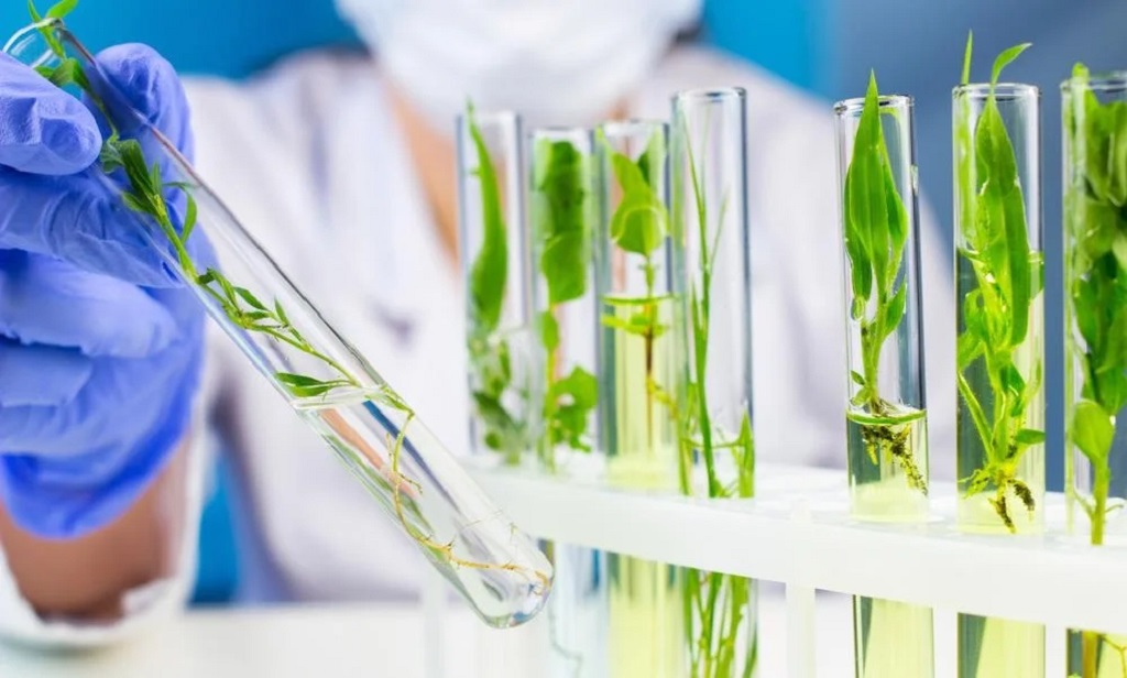 The Basics of Biotechnology