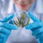 how does biotechnology impact society