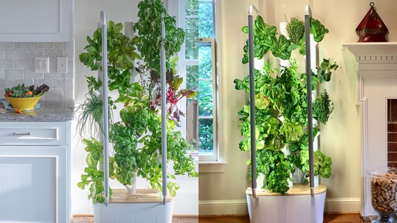 Vertical Gardening Indoors