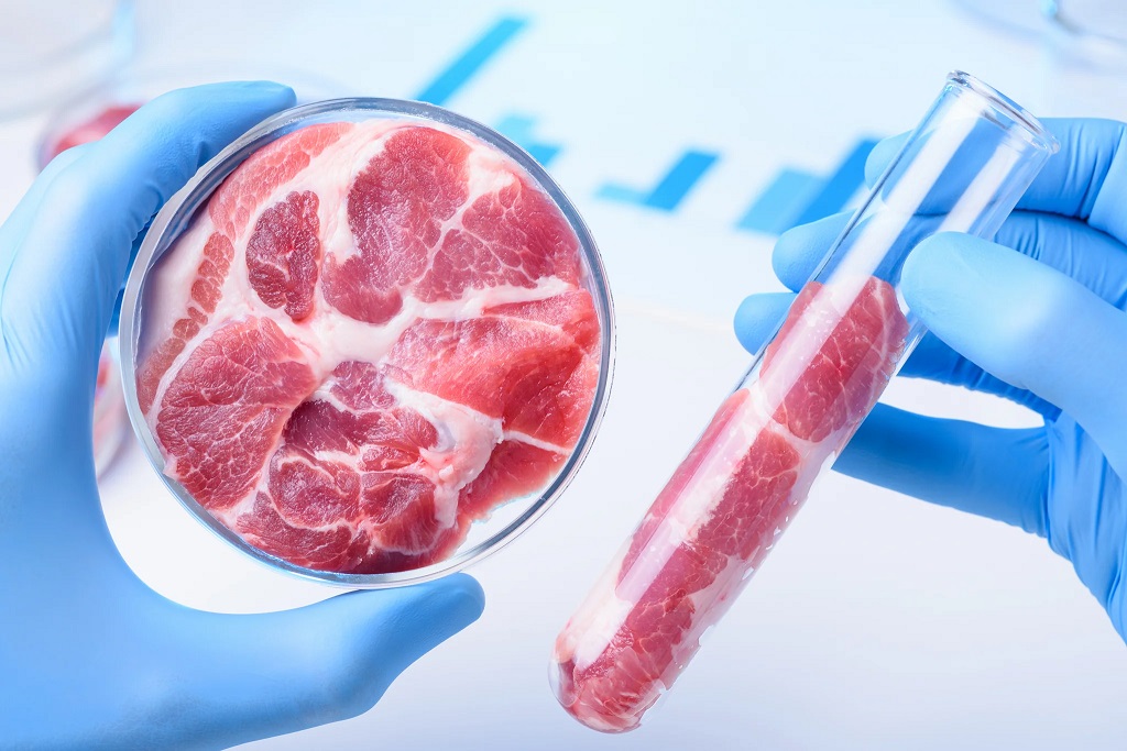 What are the arguments for lab-grown meat? 