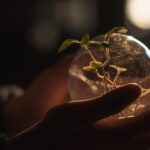 Is greenwashing environmentally friendly?