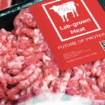 What are the arguments for lab-grown meat?